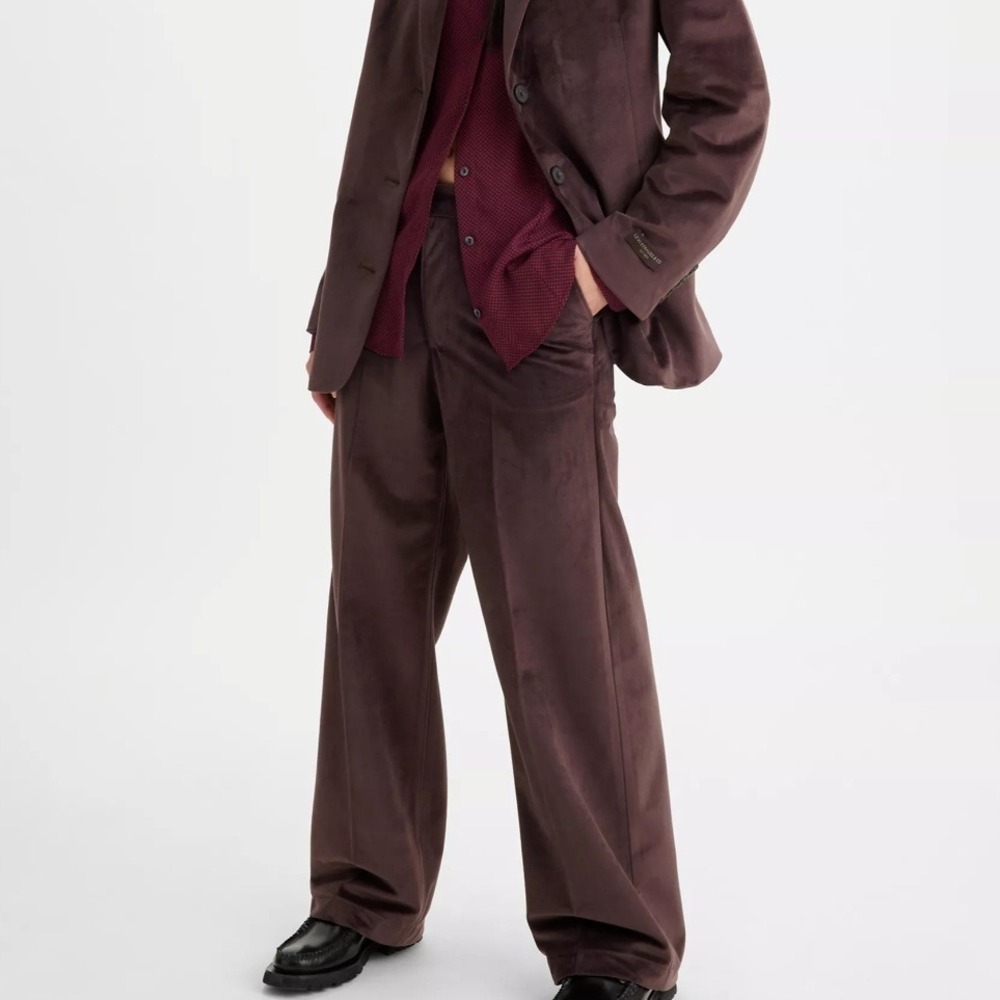 NEW Levi's Baggy Velvet Trouser Sz 31x29 Brown Wide Leg Pants Velour NWT‎